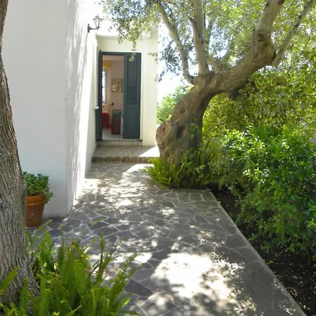 Apartment Cicala-Villa Anna By Interhome Apartment